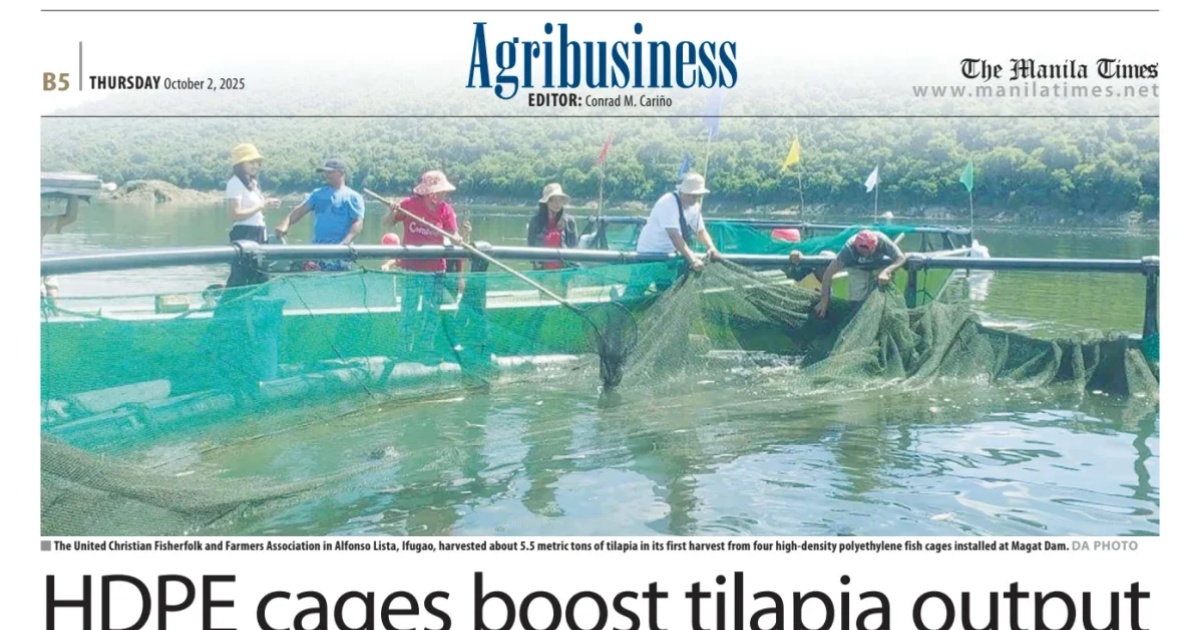 The Manila Times